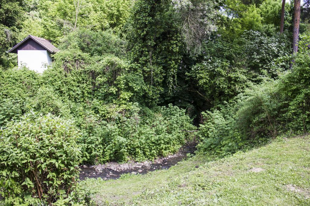 Villa Teraszhaz Zebegény Exterior foto
